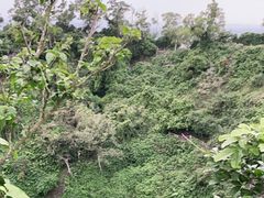 -海口火山口国家地质公园