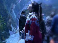 -芜湖新华联大白鲸海洋公园