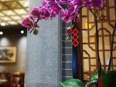 -龙悦湾酒家·八阵鱼生·渔人码头店
