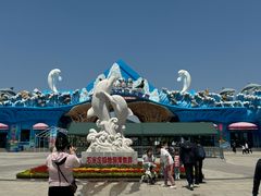 -石家庄极地海洋世界
