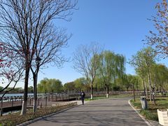 -石家庄市植物园