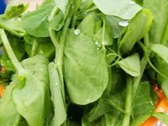 豌豆尖-澳盟清汤鲜黄牛肉(公济桥路店)