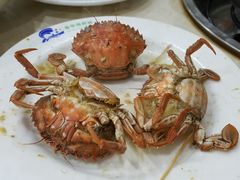 -春华海鲜城(广场西苑店)