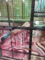 -MELAND CLUB亲子乐园·派对·餐厅(北京芳圆里ID MALL店)