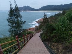 -广东惠东海龟国家级自然保护区