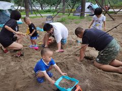 -东郊湿地公园
