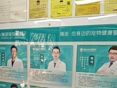 -瑞派中心宠物医院·CT·核磁·神经专科