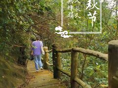 -木兰云雾山