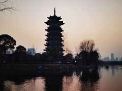 -洋湖国家湿地公园