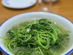 萝卜菜苗-谭家菜(童宾路店)