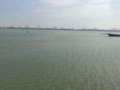 -大湾区中央湿地公园