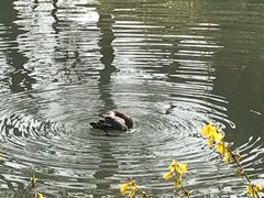 -同里国家湿地公园