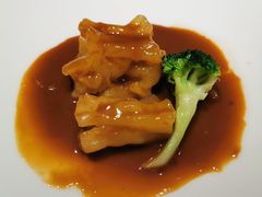 -觀芷隐轩