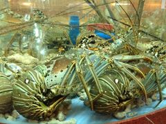 iphone_upload_pic-金龙渔港(双楠店)