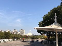 -新江湾城公园
