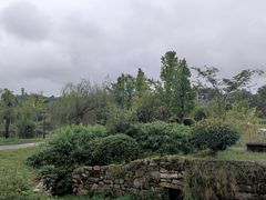-贵阳市花溪国家城市湿地公园
