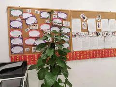 -启德考培雅思托福留学(香洲校区)