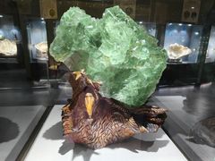 -河南自然博物馆