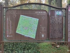 -东平国家森林公园
