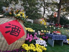 -杭州植物园