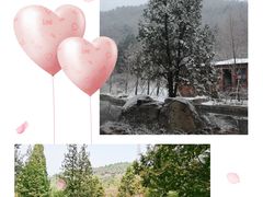 -白水寺森林公园