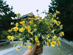 -四门塔风景区