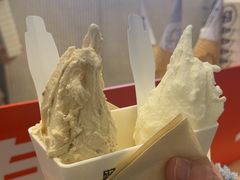 -野人先生现做冰淇淋(西安赛格店)