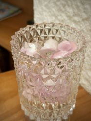 -阿南达·瑜伽普拉提·阿育吠陀疗愈中心