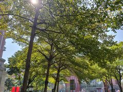 -厦门市图书馆(集美新城馆区)