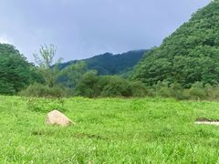 -秦岭风景区