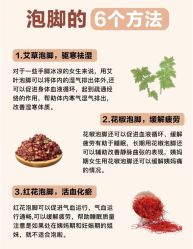 -Fundi张玉珊修身堂·indiba·BTL科技瘦身