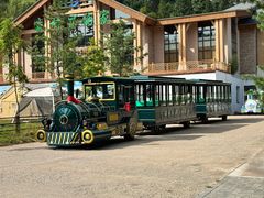 -五营红松林海景区