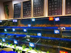 水产区-黄寺蒸汽海鲜(黄寺大街店)