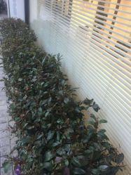 -印·Style造型创始店