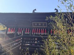 -大唐贡茶院