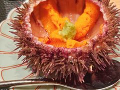 -鲤·鮨KOISUSHI
