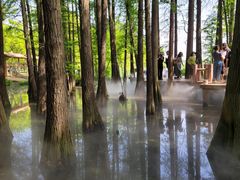 -东湖落雁景区