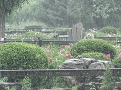 -黑龙江省森林植物园