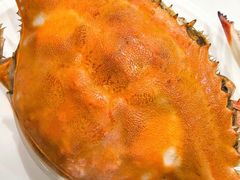 -北塘海鲜·天津菜(大光明桥旗舰店)