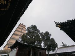 -大慈恩寺(大雁塔)