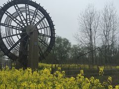 -溱湖国家湿地公园