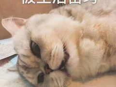 -汉阳天河电影城(王家湾店)