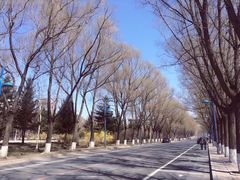 -吉林大学(前卫南区)