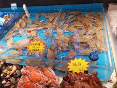 -必点海鲜·鲅鱼水饺(鞍山西道店)
