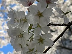 -星湖街(地铁站)