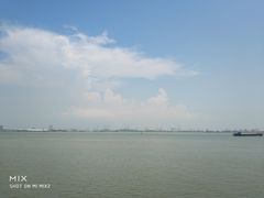 景点-大湾区中央湿地公园