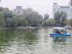 -莲湖公园