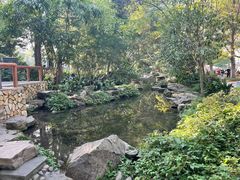 -成都市活水公园