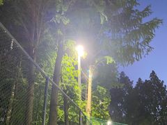 -星锐网球俱乐部(高科店)