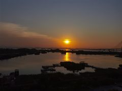 -芒洲湿地公园